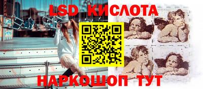 прущие грибы Гай
