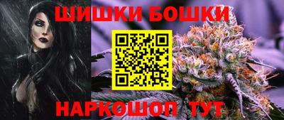 индика Гагарин