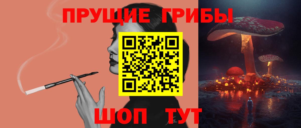 Луга  Галлюциногенные грибы Psilocybine cubensis  Вход с VPN  Псилоцибиновые грибы Psilocybe 